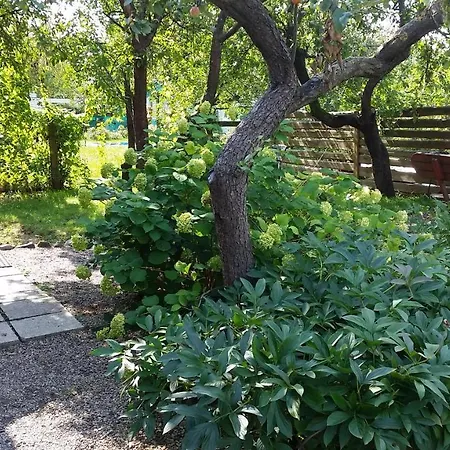 The Jolly Man 2 Lejlighed