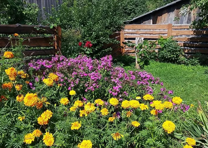 The Jolly Man 2 Vilnius