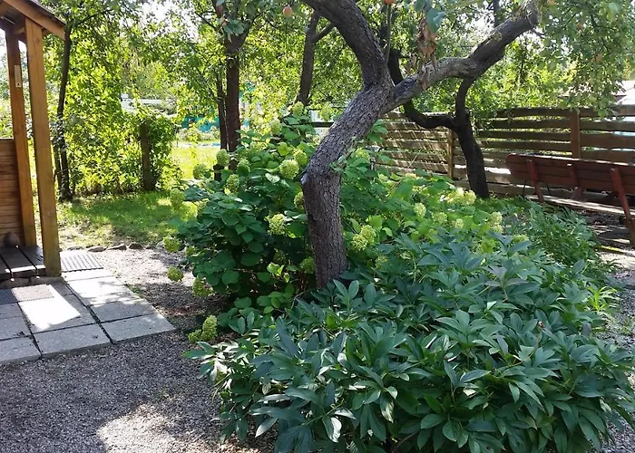 The Jolly Man 2 Lejlighed