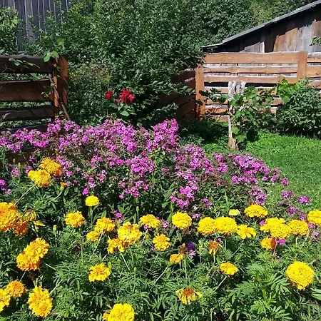 The Jolly Man 2 维尔纽斯